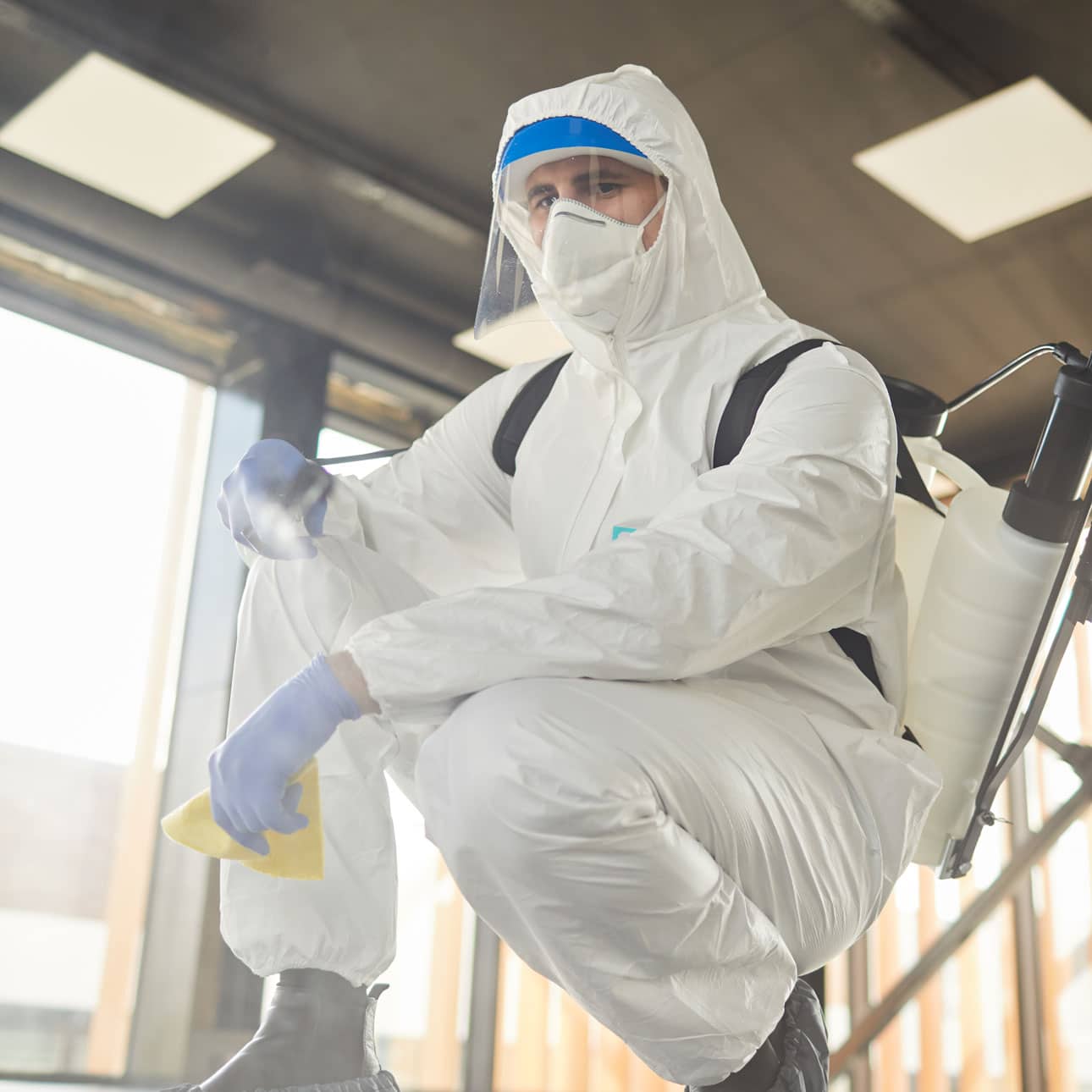 Fumigaciones Ciudad Victoria